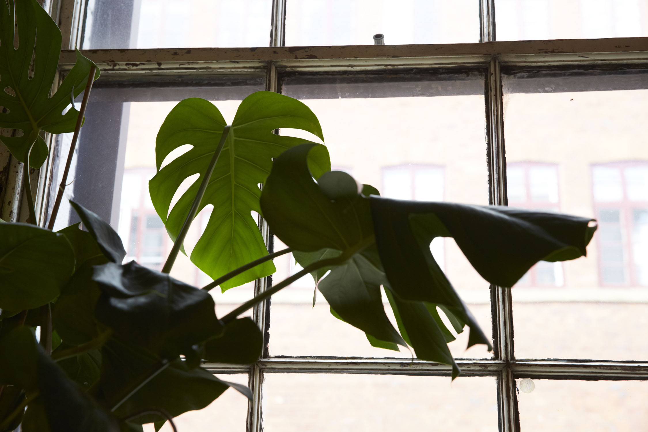 Tamper Sellers Wheel → Our Favourite Places Sheffield Culture Guide